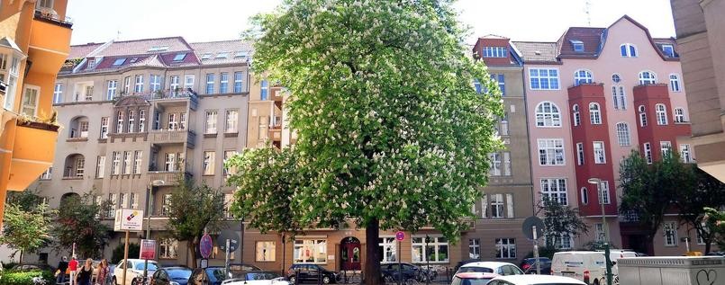 הרובע הבווארי הרובע הבווארי