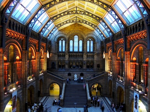 מוזיאון ההיסטוריה של הטבע Natural History Museum